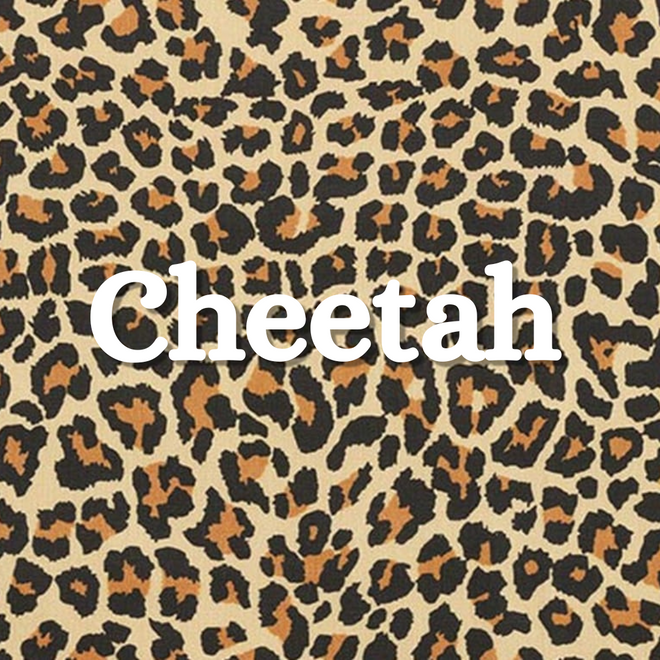 Cheetah